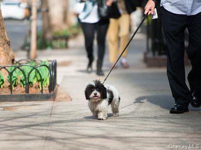 Building Photo - 74 Prospect St