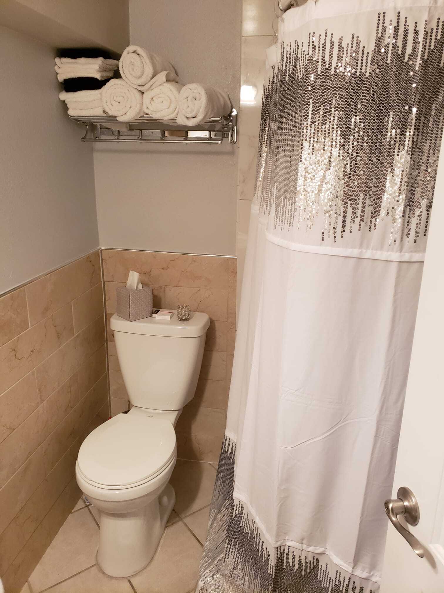 bathroom - 737 W 19th St