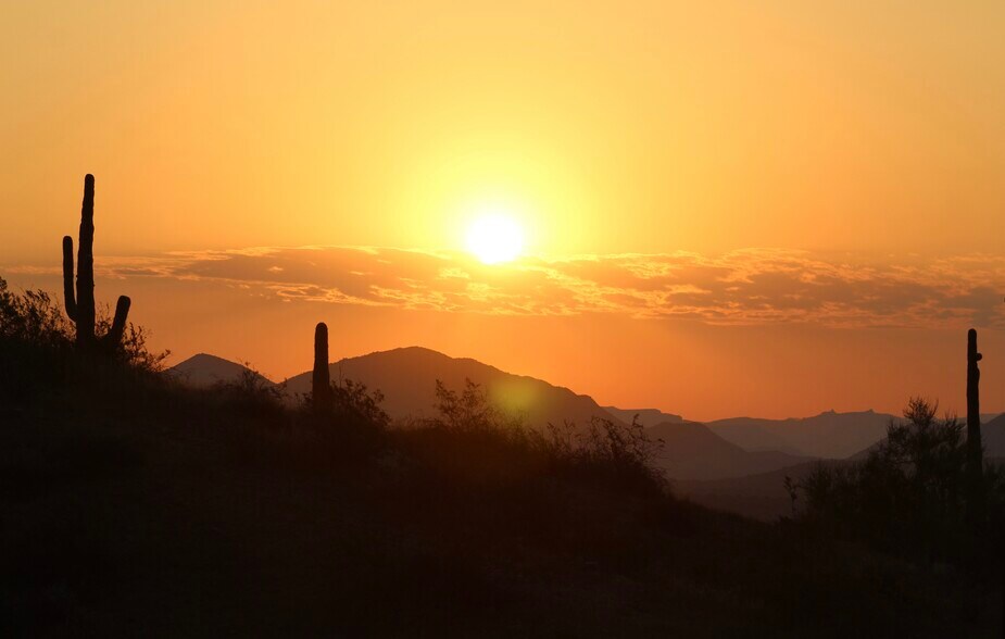 Building Photo - 10401 N Saguaro Blvd