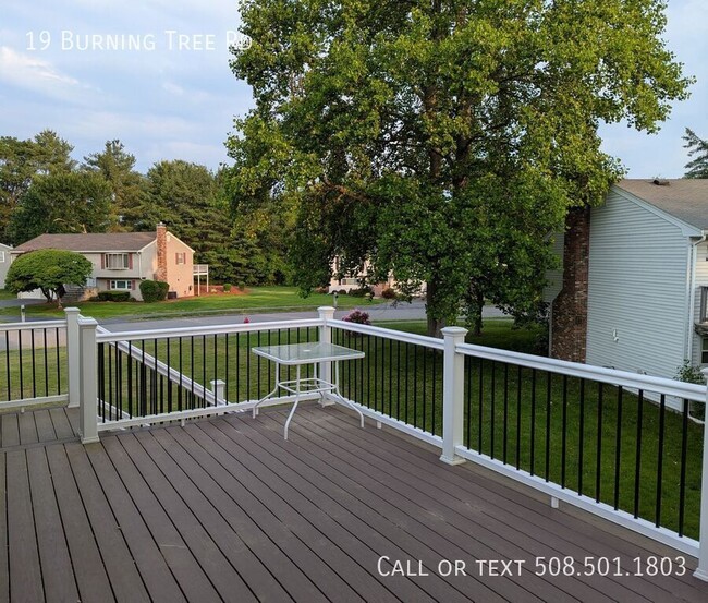 Building Photo - 19 Burning Tree Rd