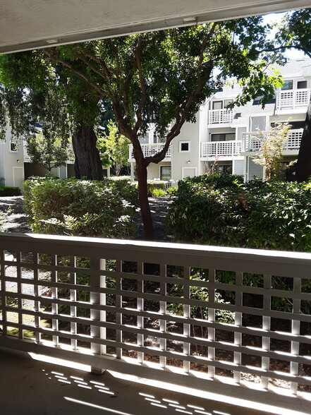 Back facing patio - 2598 Oak Rd