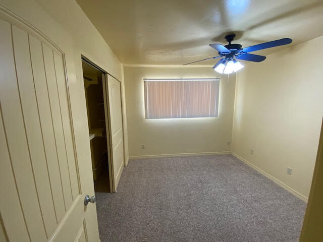 Second Bedroom - 805 Mormon Pl