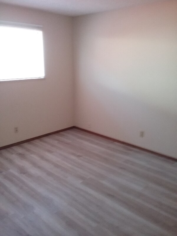 Building Photo - 651 Belladonna Ct