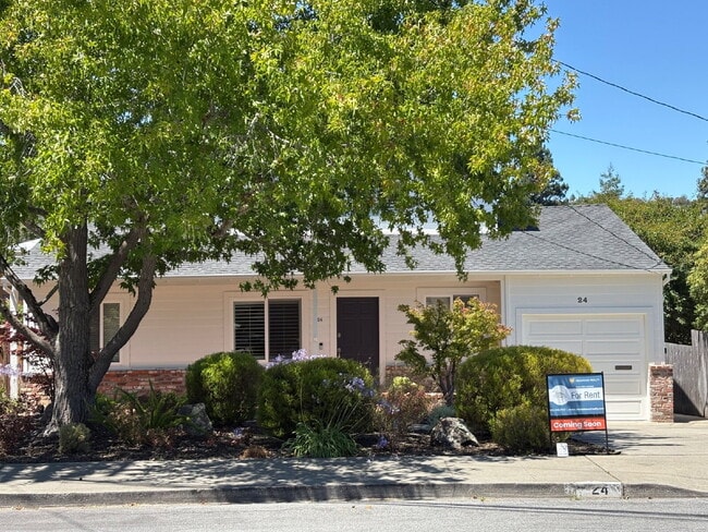 Building Photo - Charming 3 bed, 2 bath with office on San ...