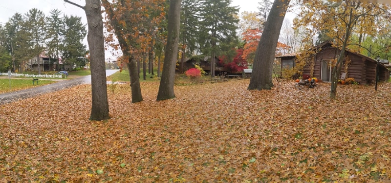 Building Photo - 8970 E Gull Lake Dr