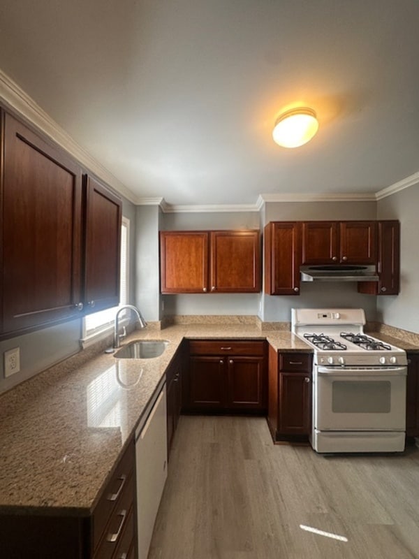 Building Photo - 1127 Cleveland St