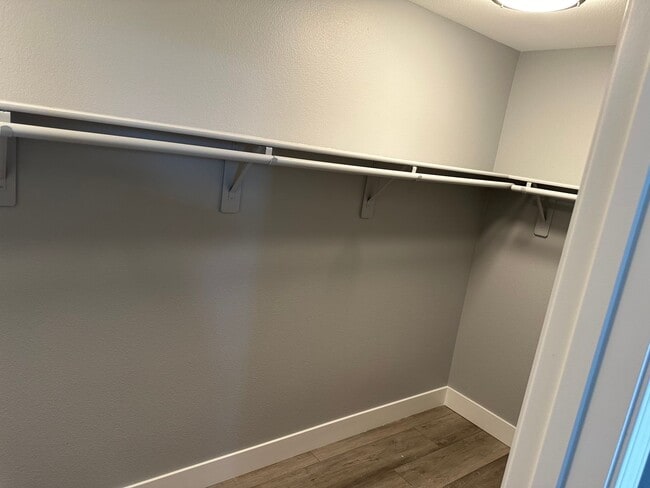 Building Photo - Newly Renovated 4 bedroom, 3 Bath with Pool