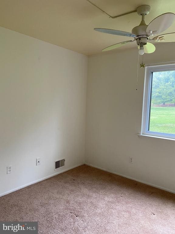 Building Photo - 2715 Adams Ct