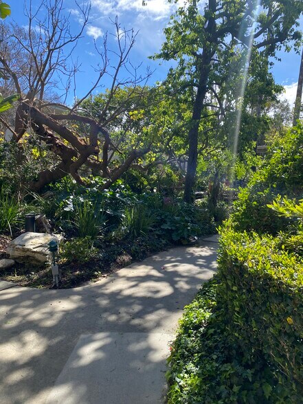 Pond area and walkway - 241 S Barrington Ave