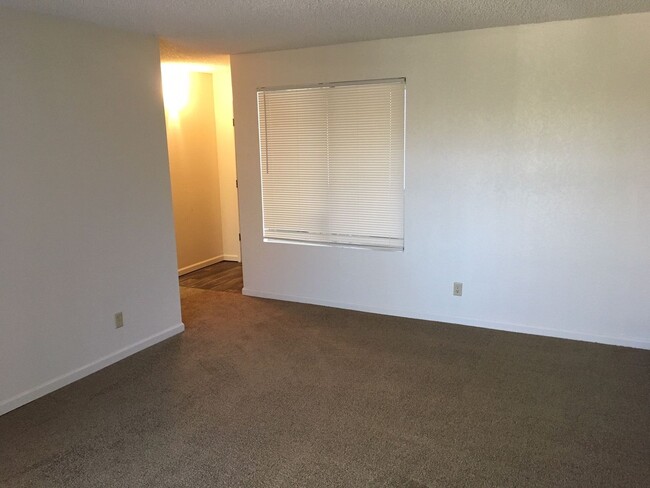 Building Photo - LARGE 1 BED 1 BATH WITH WASHER DRYER HOOKUPS