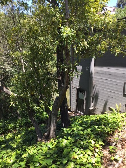 Primary Photo - 58 Roble Rd