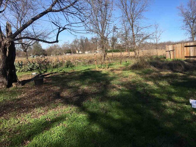 Building Photo - 24140 Craig Creek Ln