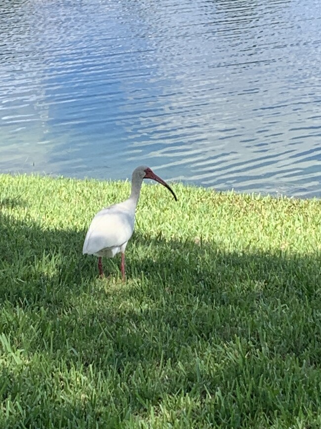 Enjoy nature while you walk - 1670 N 42nd Cir