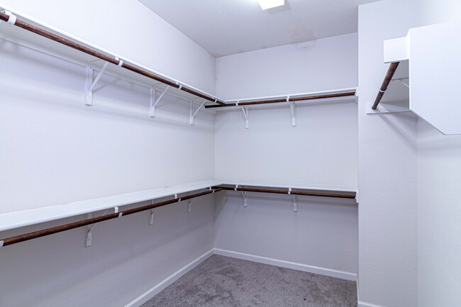 Building Photo - 3623 Carlsbad Way
