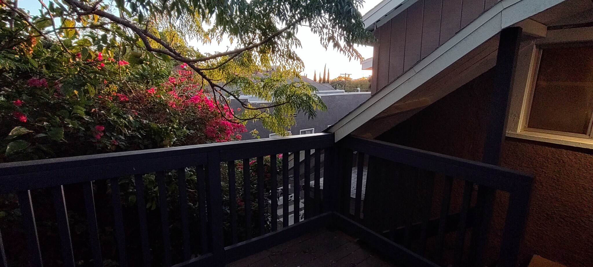 Building Photo - 1150 Sanborn Ave. Apt C