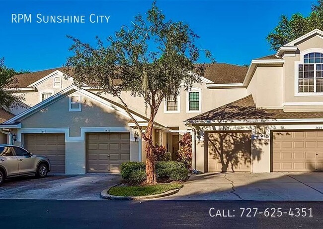 Primary Photo - Charming Townhome in Palm Harbor