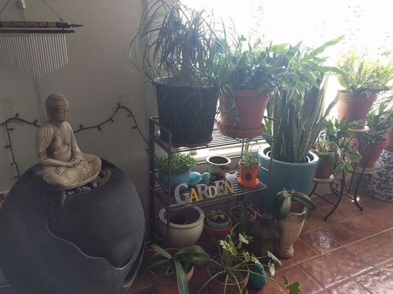 Lanai Garden - 2600 Pualani Way