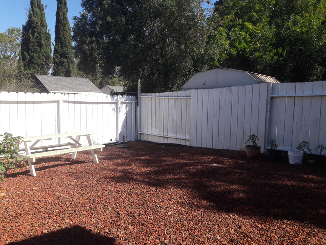 Backyard Picnic Table - 50 La Cruz Ave