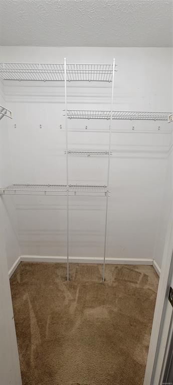 Building Photo - 135 Daffodil Dr