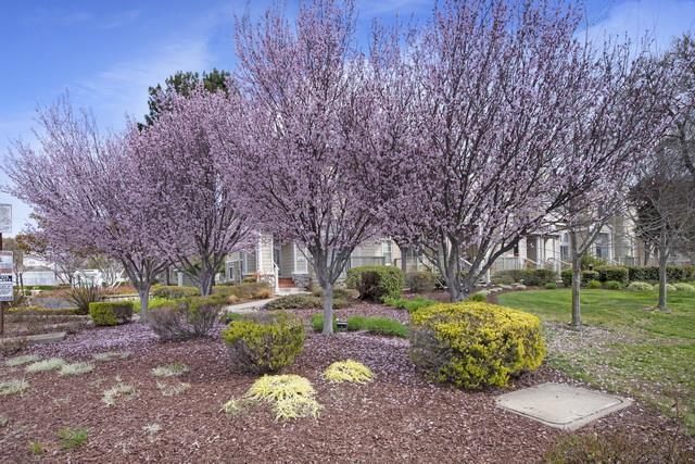 Building Photo - 336 Meridian Dr