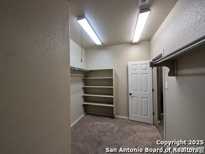 Building Photo - 1326 Crow Ct