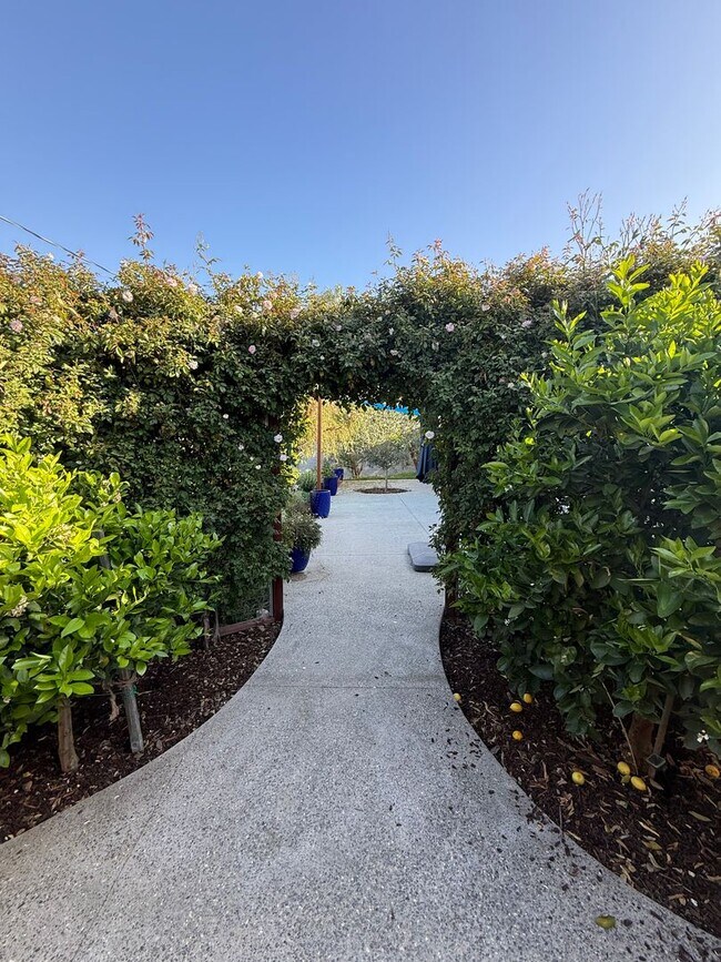 Building Photo - Convenient Modern 2 Bed/2 Bath in Solvang