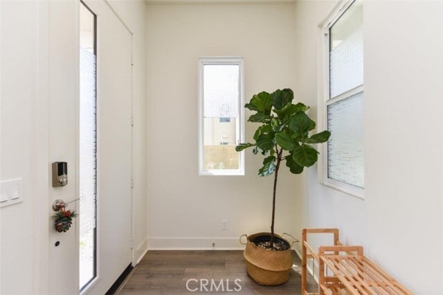 Building Photo - 113 Novel