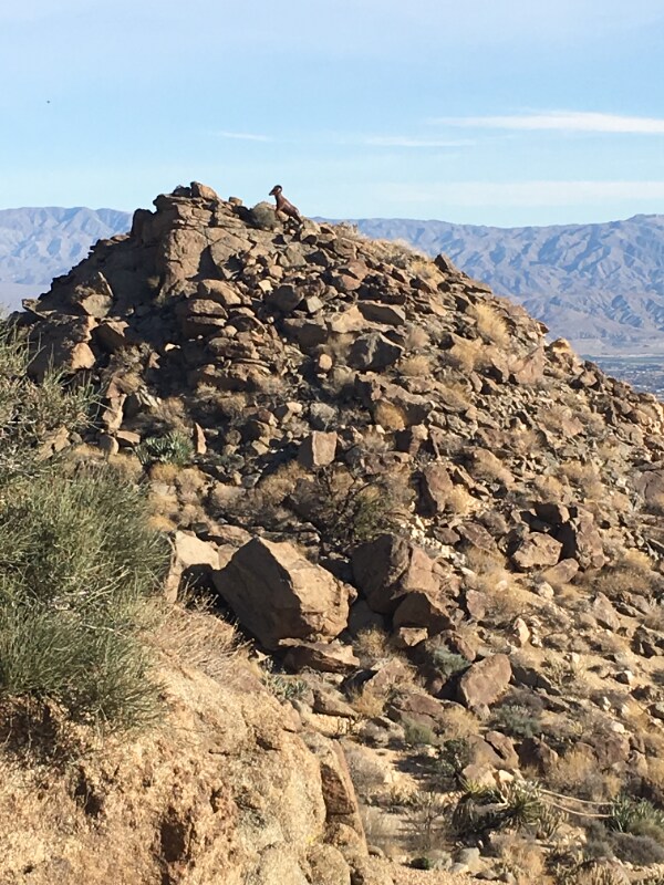 Building Photo - 56250 Las Rocas