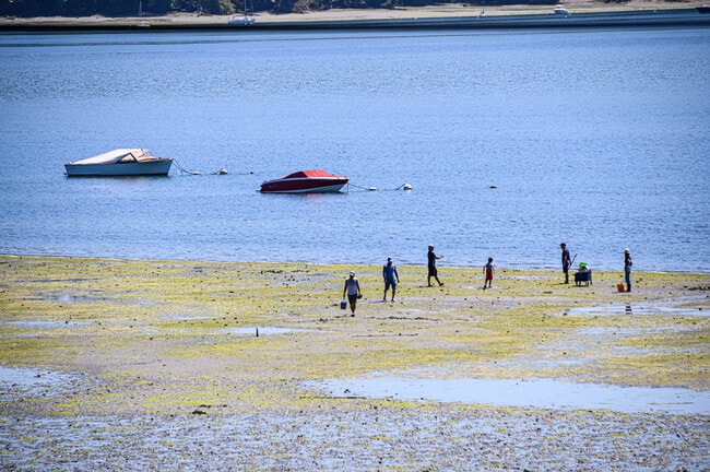 Building Photo - 24103 Vashon Hwy SW