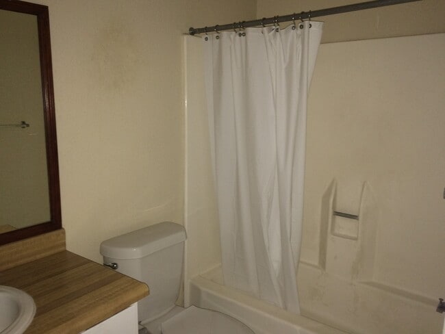 Building Photo - College Station, 1 bedroom / 1 bath condo - Cripple Creek Condos