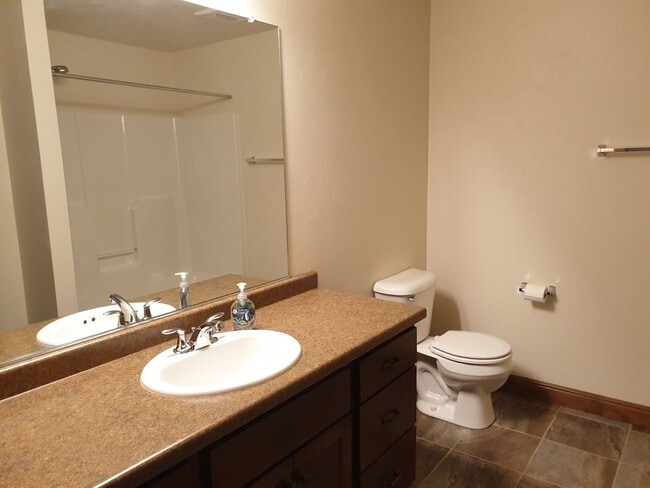 Lower Level Bathroom - 1728 Lily of the Valley Dr