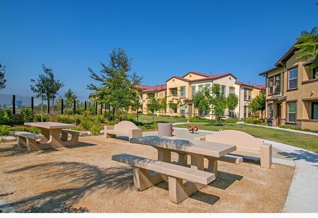 Building Photo - 6680 Canopy Ridge Ln