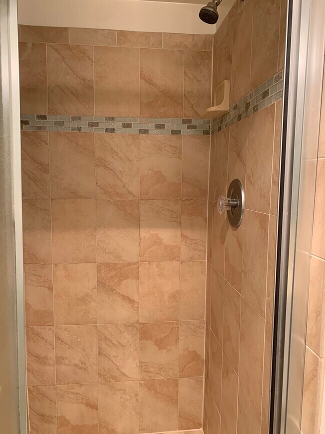 Master bathroom -updated shower - 807 N Howard St