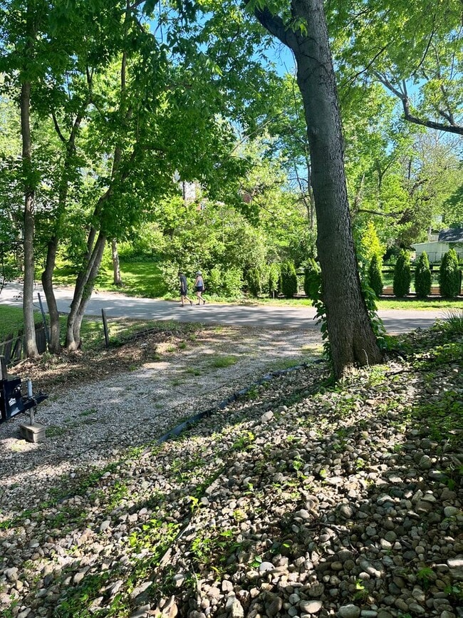 Building Photo - Great Newly Remodeled 3 bed in Madisonvill...
