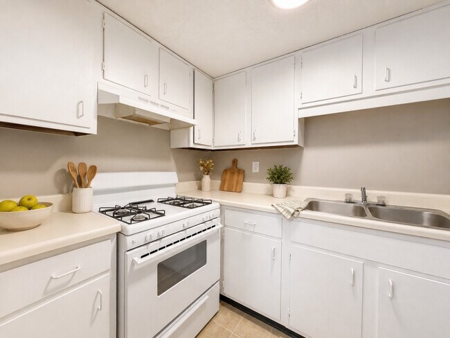 Building Photo - 733 Hill Rise Ct