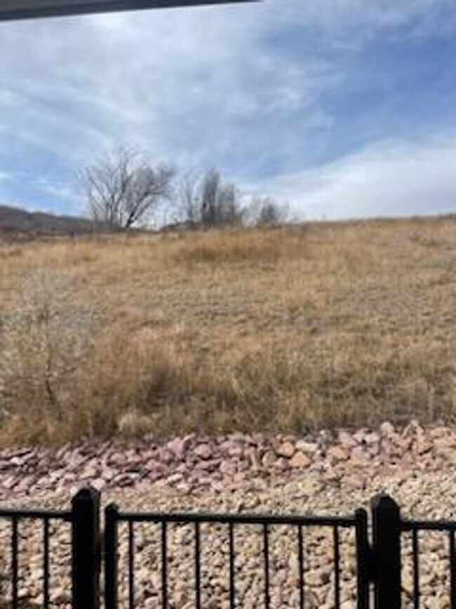 Building Photo - FULLY FURNISHED 3 Bed Luxury End Unit Townhome backs to Nature