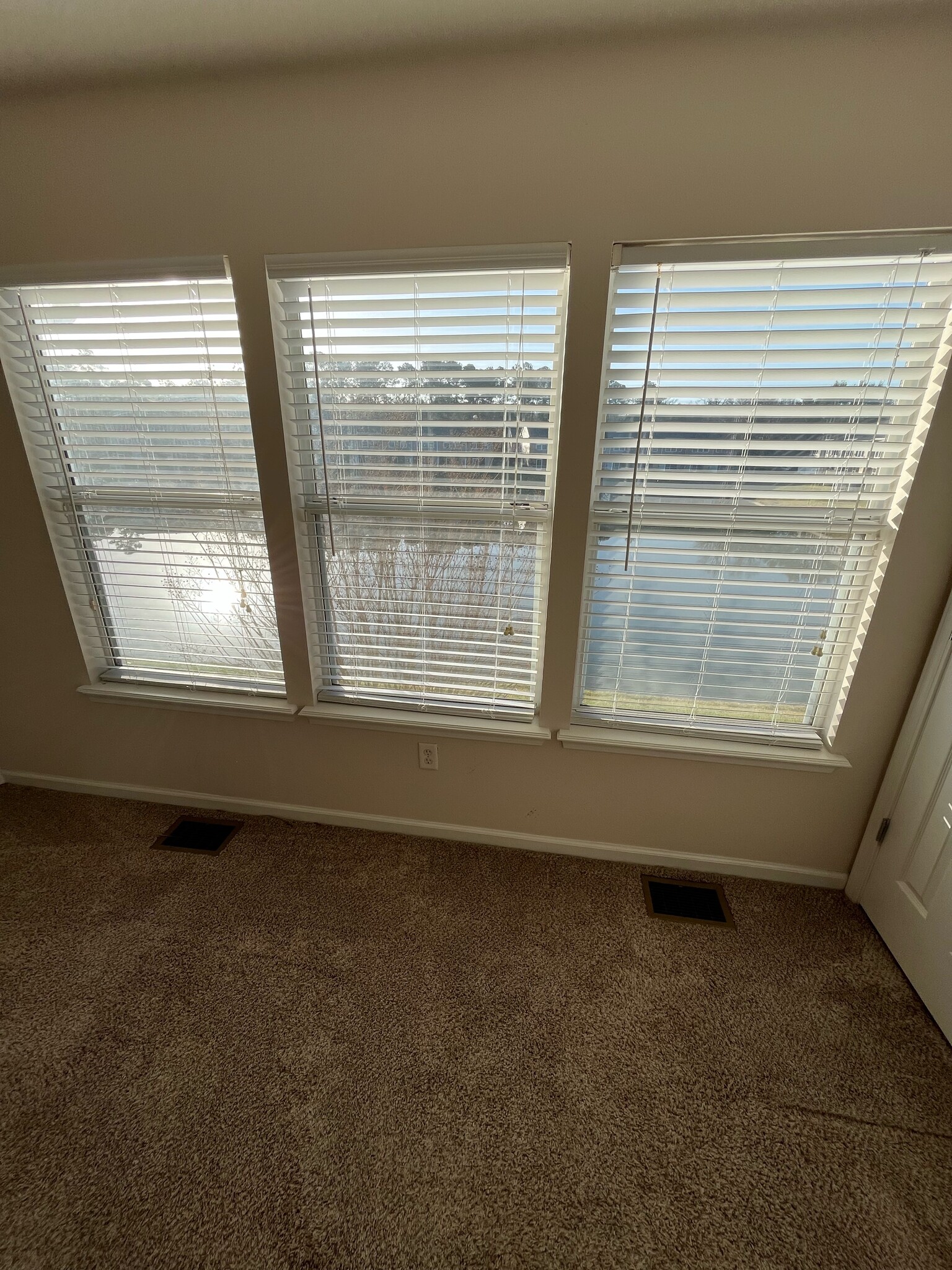 Master Bedroom overlooking pond - 6768 Arching Branch Cir