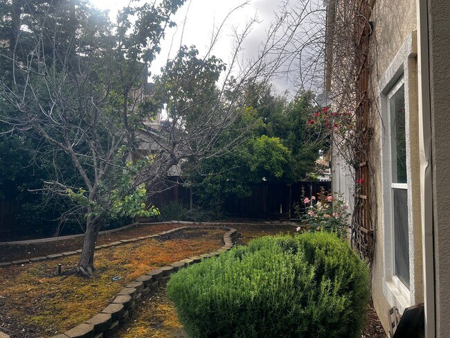 Building Photo - Large, Beautiful Shadow Lakes Home in Court Location