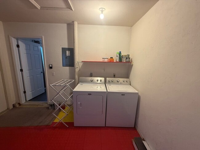 Building Photo - 3 Bedroom Backing up to San Felasco Hammock