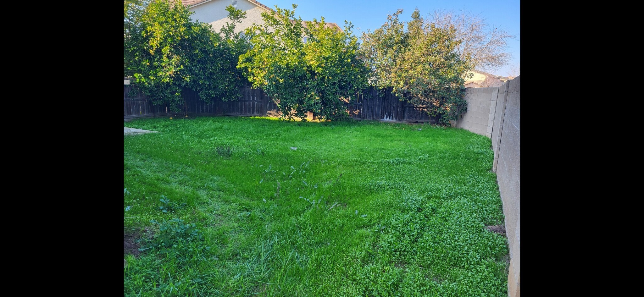 Building Photo - 3968 Colma Ave