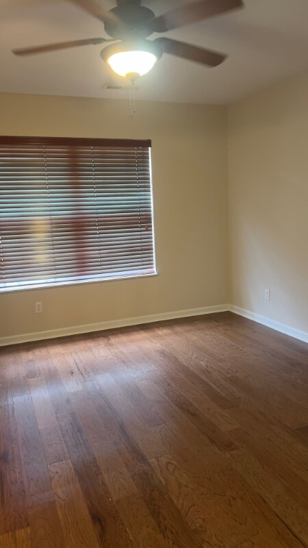Building Photo - 3101 Pinex Ln
