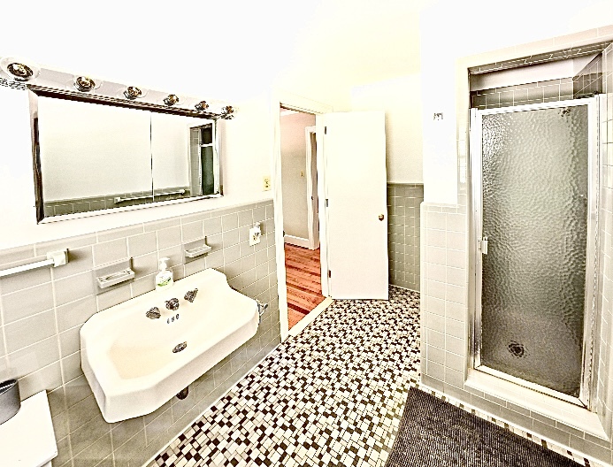 Second Bathroom with Shower - 5027 Hollow Rock Rd