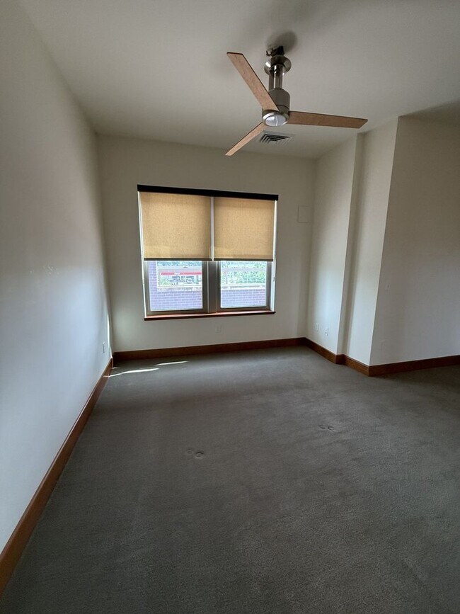 Building Photo - Luxury Apartment