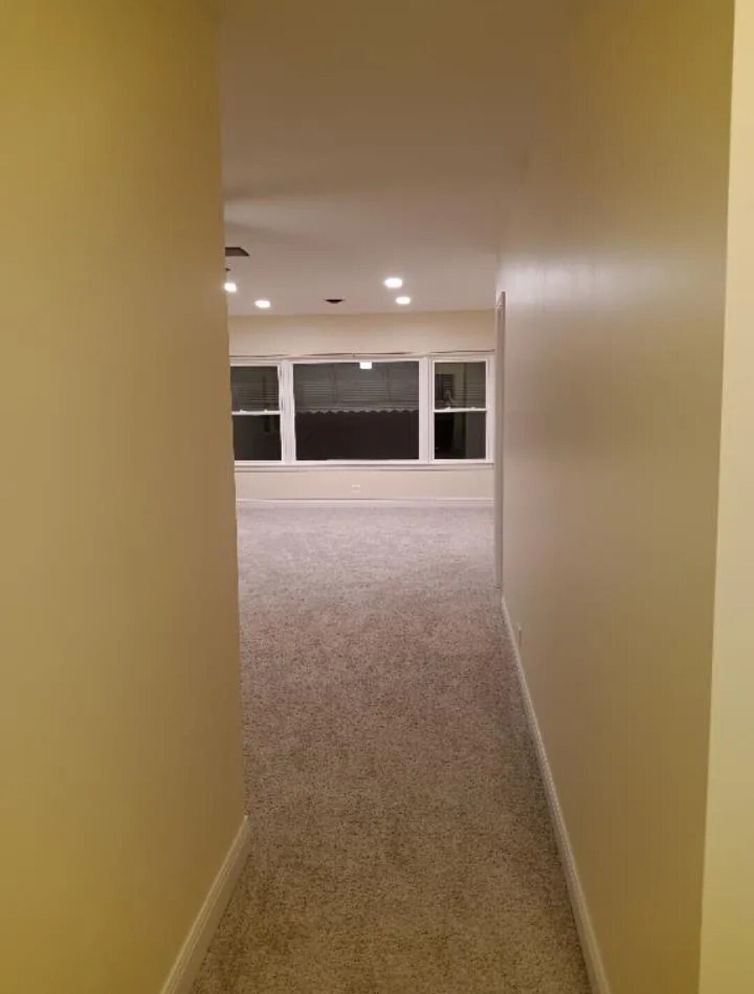 Building Photo - 484 Western Ave