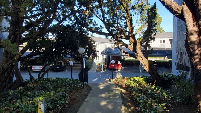 Building Photo - Spacious 2 Bedroom, 1 Bathroom Moraga Condo