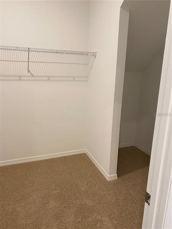 Building Photo - 2581 Royal Jasmine Ct