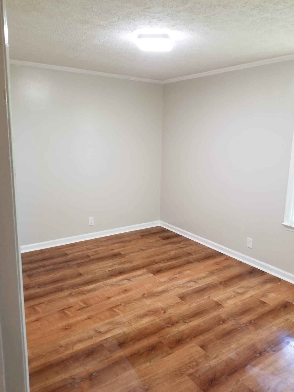 New paint and new window blinds - 111 Cash Ln
