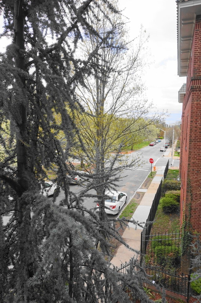 Building Photo - Charming 2 Bedroom/1 Bathroom Apartment in Reservoir Hill, MD!