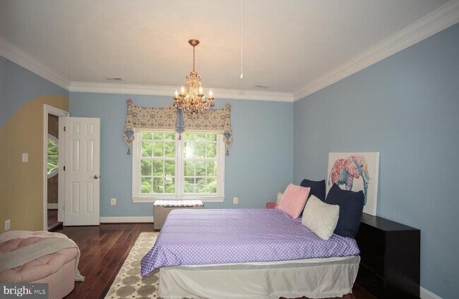 Building Photo - 6125 Old Dominion Dr