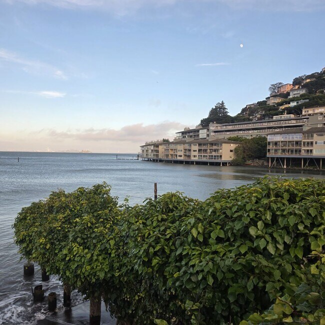 Building Photo - Live on the Water in Sausalito — 2BD with Direct Beach Access